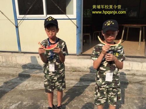 广东小学生社会实践活动计划